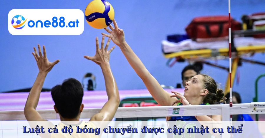 Luật cá độ bóng chuyền được cập nhật cụ thể